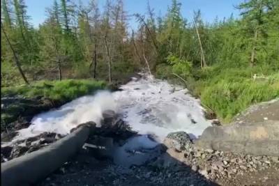 Отравленную воду из рек под Норильском откачивали прямо в леса