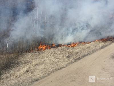 Высокая пожароопасность лесов сохранится в Нижегородской области до 29 июня