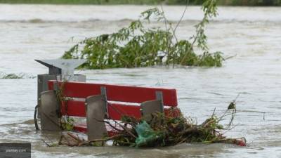 Наводнение на Западной Украине повлекло вырубку леса местными жителями