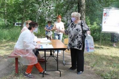 Жители Тверской области голосуют даже на даче