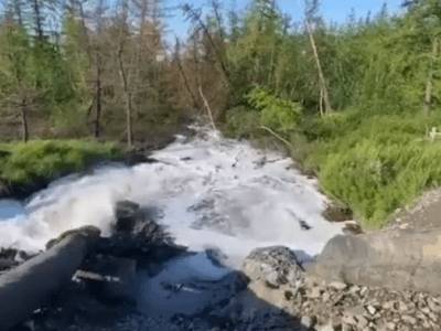 «Норникель» сливает ядовитые отходы в озеро Пясино