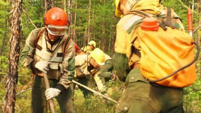 Режим ЧС ввели в Магаданской области из-за лесных пожаров
