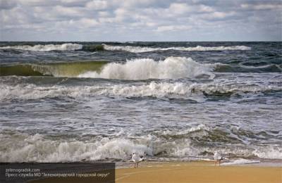 Росгидромет не подтвердил вбросы о превышении гамма-излучения в Балтийском море