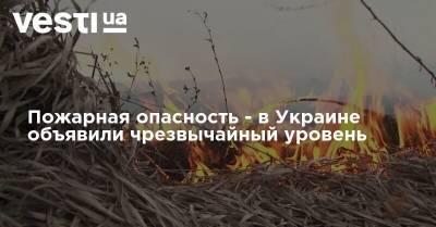 Пожарная опасность - в Украине объявили чрезвычайный уровень