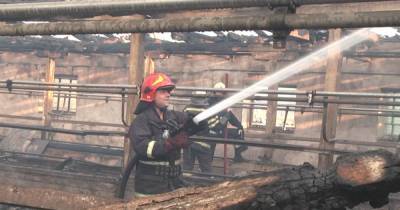 Спасатели объявили чрезвычайный уровень пожарной опасности
