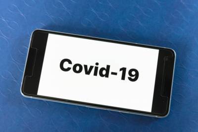 За сутки во Владимирской области подтверждено 49 новых случаев COVID-19