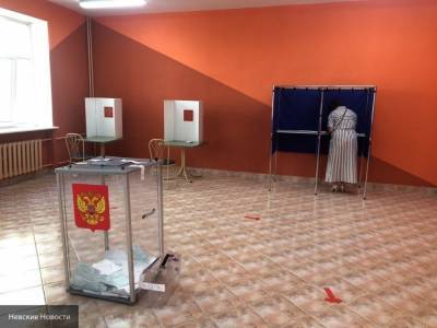Член ОП РФ Григорьев оценил работу полумиллиона наблюдателей на голосовании