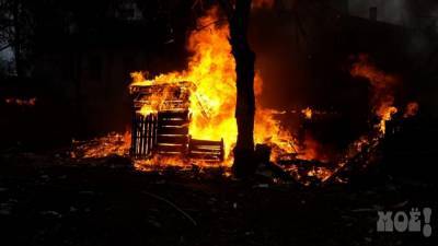 Крупный пожар в Воронеже: сгорели 12 сараев