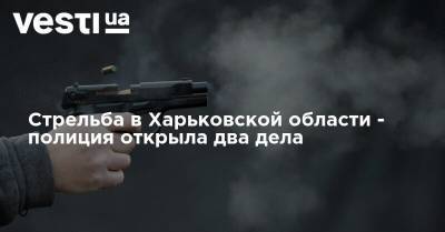 Стрельба в Харьковской области - полиция открыла два дела