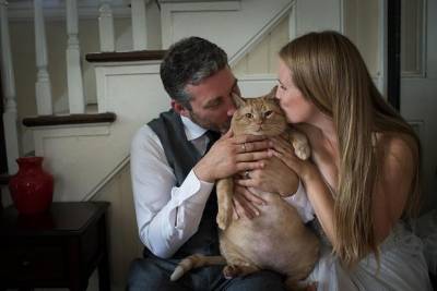15-килограммовый кот стал звездой сети, задав настроение на свадьбе своих хозяев (фото)