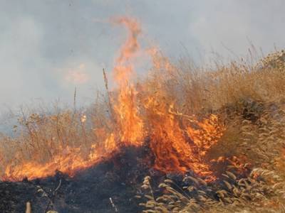 В Днепропетровской области был масштабный пожар на сеновале