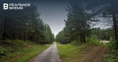 МЧС Татарстана объявило новое штормовое предупреждение из-за высокой пожароопасности лесов