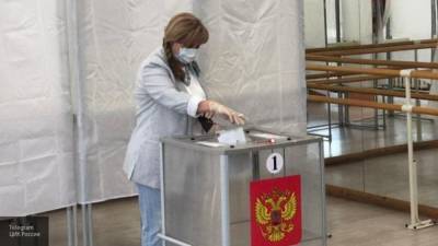 Памфилова заявила о необходимости присутствия наблюдателей на голосовании из дома