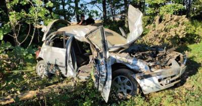 В Запорожской области авто врезалось в дерево: четверо пострадавших детей и взрослых, женщина погибла
