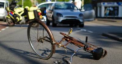 Пытаясь избежать столкновения с животным, автоводитель насмерть сбил велосипедиста
