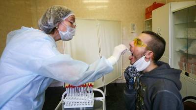 Более 20 млн тестов на коронавирус проведены в России