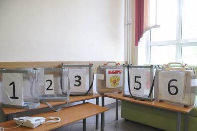 Общественный штаб выявил создателя фейка о голосовании в Москве