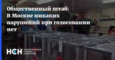Общественный штаб: В Москве никаких нарушений при голосовании нет