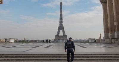 Депутаты Франции намерены прибыть в Россию после конца эпидемии вируса