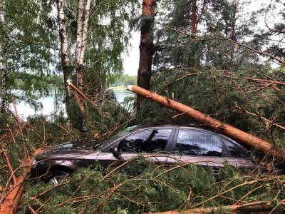 Деревья погребли под собой машины из-за бури в Богородском районе