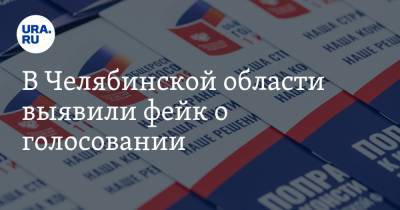 В Челябинской области выявили фейк о голосовании. Его распространил бывший журналист «Вестей»