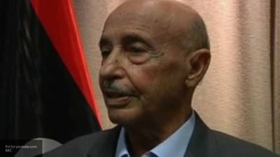 Салех назвал абсолютно законной позицию президента Египта по ливийскому кризису