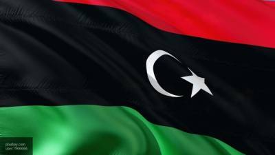 Председатель Палаты представителей поддержал позицию главы Египта по ливийскому кризису