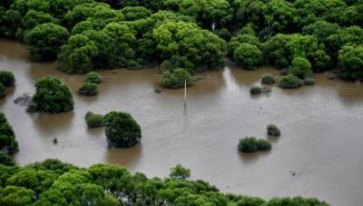 Уровень воды в реках Приморья поднялся больше чем на полтора метра