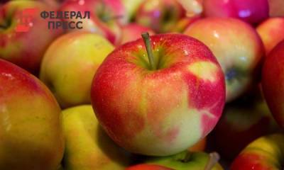В Омскую область едва не завезли сомнительные яблоки