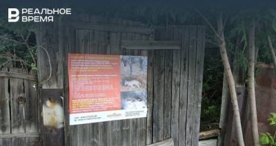 В Казани появились плакаты с просьбой помочь приюту для животных или «хотя бы» проголосовать за поправки в Конституцию