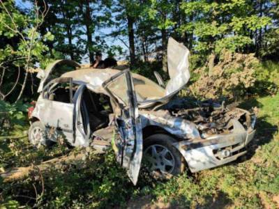 Пострадали 2 взрослых и 2 детей: В Запорожской области Hyundai врезался в дерево