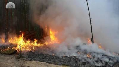 Сухие грозы стали причиной 11 лесных пожаров в Томской области