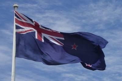В Новой Зеландии началось голосование по поправкам в Конституцию РФ