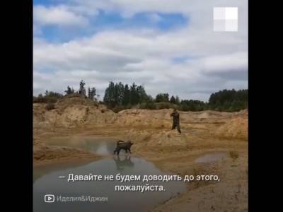 В Челябинске охотник пойдет по статье за убийство чужой собаки