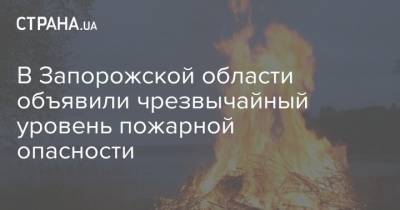 В Запорожской области объявили чрезвычайный уровень пожарной опасности