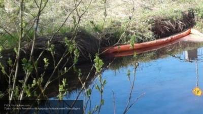 Прокуратура ЯНАО проводит проверку по факту загрязнения реки Пякупур нефтепродуктами