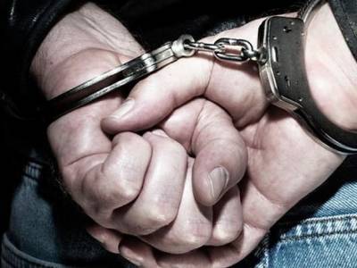 В Приморье двое мужчин получили по три года тюрьмы за рубку елок к Новому году