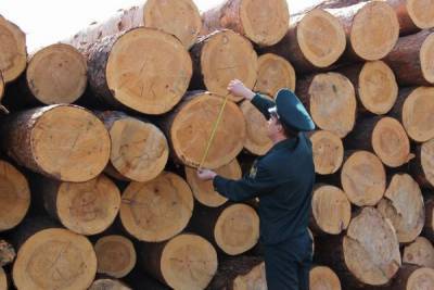 Вывоз леса из России станет полностью прозрачным для таможенного контроля