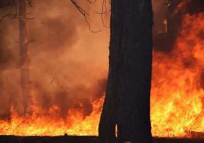 Востоку Украины угрожают пожары пока запад страны страдает от наводнения