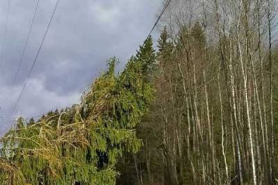 В Тверской области устраняют последствия грозовой стихии