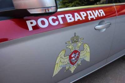 В Клепиковском районе росгвардейцы поймали пьяного водителя без прав
