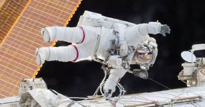 «Дадут поболтаться». Астронавт оценил выход туристов в открытый космос
