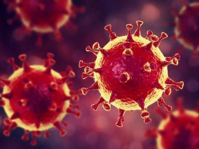 Французские ученые назвали главную мишень коронавируса