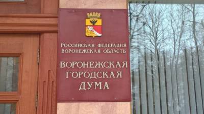 Воронежцев пригласили обсудить исполнение городского бюджета 2019 года