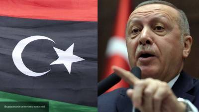 Мисмари уверен, что "Каирская декларация" разрушила антиарабские планы Эрдогана