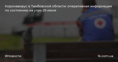 Коронавирус в Тамбовской области: оперативная информация по состоянию на утро 29 июня