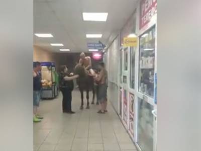 Пьяный мужчина в Киеве заехал в магазин на коне