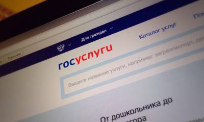 Россиянам разрешат подавать жалобы на органы власти через портал «Госуслуги»