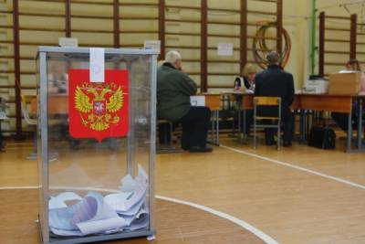 Более 40 млн россиян проголосовали по поправкам в Конституцию