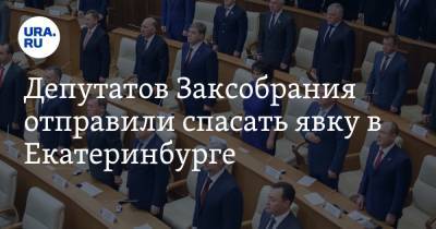 Депутатов Заксобрания отправили спасать явку в Екатеринбурге